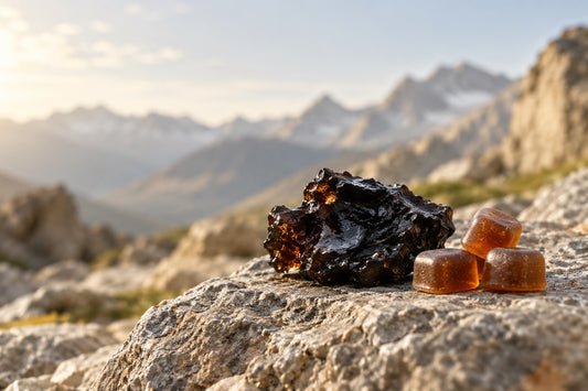 Shilajit resin and amber gummies on a mountain stone